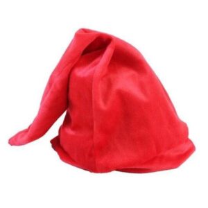 Bonnet Zelda Link style tunique rouge