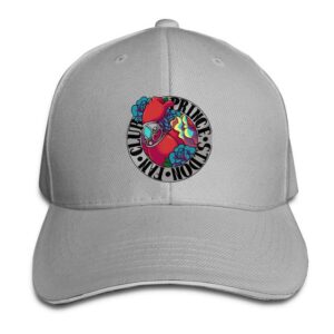Casquette Zelda Prince Sidon Breath Of The Wild, Gris ou Blanc